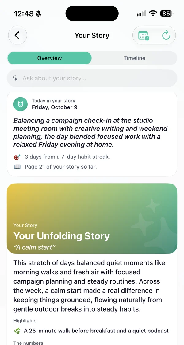 Your Story: today in your story, then the current chapter, A calm start